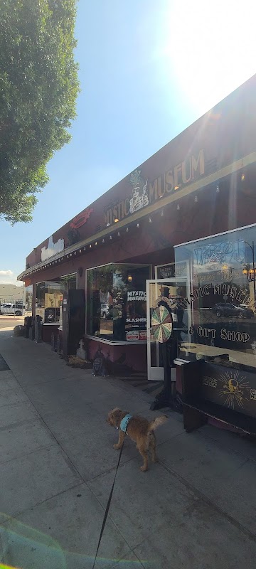 Bearded Lady Vintage & Oddities