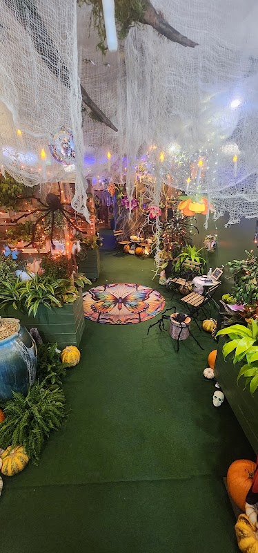 Secret Forest LA