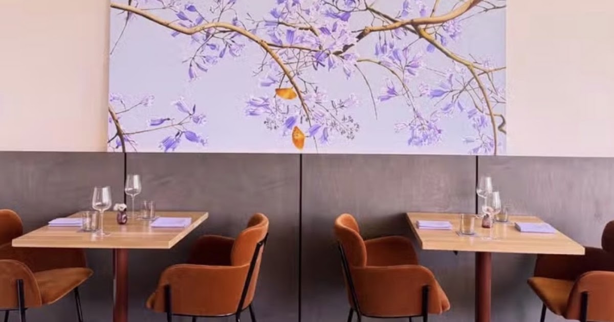 Jacaranda