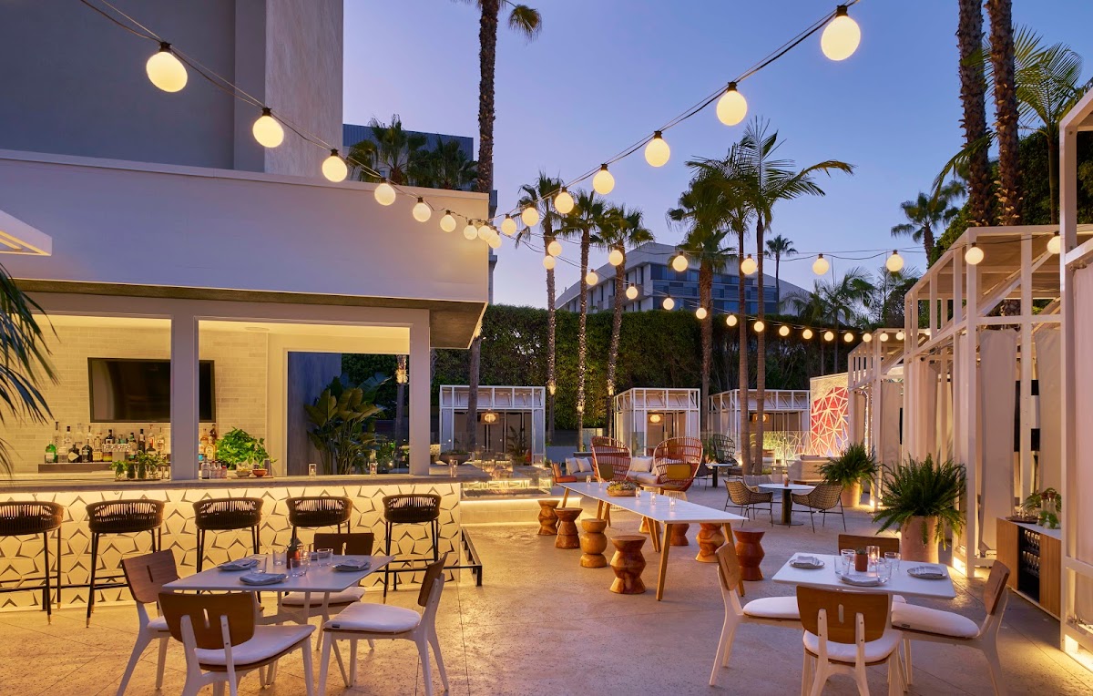 Sugar Palm Santa Monica