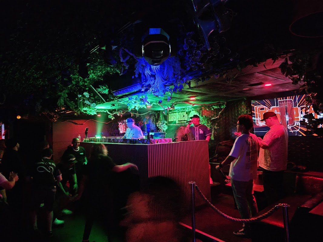 Jungle Hollywood